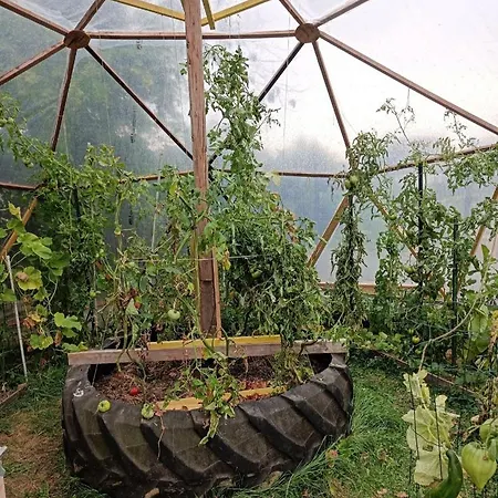 Atypique Yourte La Capelle-lès-Boulogne