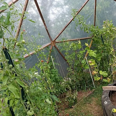 Penzion Atypique Yourte